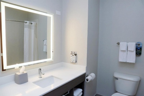 Holiday Inn Express Baton Rouge North image 12