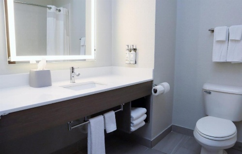 Holiday Inn Express Baton Rouge North image 14