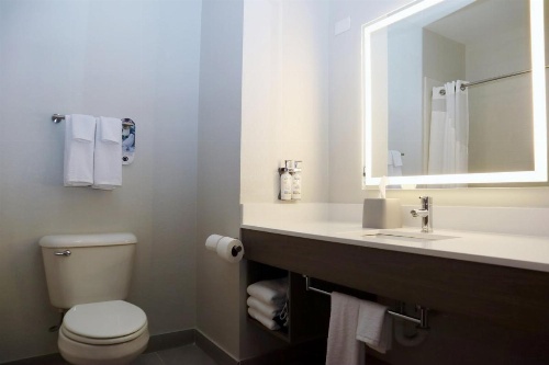 Holiday Inn Express Baton Rouge North image 6
